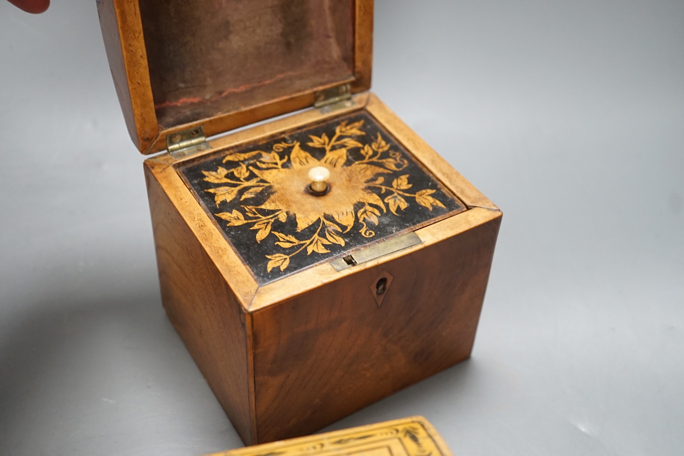 A selection of treen boxes, to include a house shaped money box, 13cm high, a 19th century ash? dome top tea caddy, with ivory finial to the cover (5)